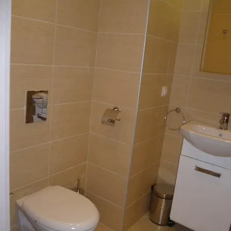 Zlatina Apartment *
